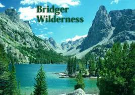 The boundaries of this national forest are a short drive from jackson and easily accessed from a passenger car during the late spring and summer months. Jim Bridger Wilderness Wind River Mountain Range
