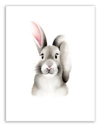 With fluffy coats and comically large feet these adorable creatures use the very things that make them so cute to survive in some of the toughest environments in the world. Baby Bunny Fluffy Face Print Studio Q Art By Nicky Quartermaine Scott