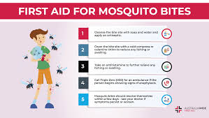 Image result for mosquito bite