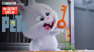Maybe you would like to learn more about one of these? The Secret Life Of Pets Kevin Hart Is Snowball Hd Illumination Youtube