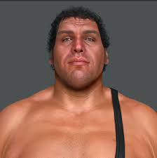 Andre the Giant Wrestlemania illustration