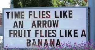 Time Flies Like An Arrow Fruit Flies Like A Banana Meme Time Flies Good Similes Simile Solar Images