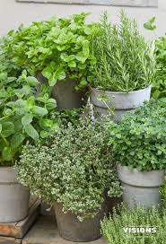 A container garden is an ideal environment in which to grow herbs. Small Space Herb Garden Herb Garden Pots Garden Design French Garden Design