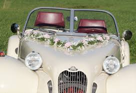 Planen sie eine moderne hochzeit und haben retro auto mit passender deko für die vintage hochzeit. Unser Schonster Tag Autoschmuck Autogesteck Hochzeit Brautauto Autogirlande Rosa Weiss Au0024 Vintage
