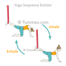 Here are 12 helpful yoga poses for beginners. Cat Cow Pose One Leg Aerial Yoga Bitilasana Marjaryasana One Leg Aerial Yoga Sequences Benefits Variations And Sanskrit Pronunciation Tummee Com