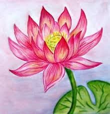 Lerne, wie man eine blume zeichnet, indem du den schritten in dieser anleitung folgst! 1001 Ideen Und Inspirationen Fur Bilder Zum Zeichnen