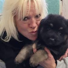 How much food should a 24-week-old German Shepherd eat per day?