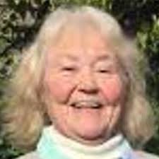 Dorset Council local election: The 8 candidates in Littlemoor & Preston