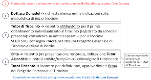 Sef Home 2018 19 Prima Di Iniziare Il Tirocinio