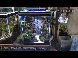 Aquascape Sandfall With Stone Clif On Tank 40x40x50cm Youtube Aquascaping Akuarium Aquarium