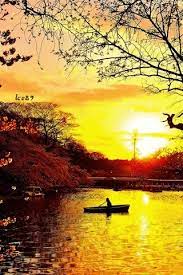 Beautiful Summer Evening On The Lake Nature Pretty Pictures Sunset Gif