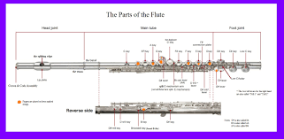 Jennifer Cluff Davies Sequences B Flat Fingerings For Flute