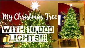 Martha stewart christmas tree directions. Christmas Tree Vlog 10 000 Lights Martha Stewart Emperor Fir Youtube