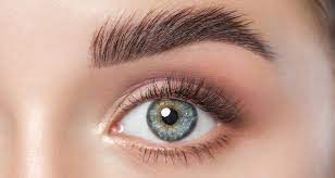 What Is Eyebrow Lamination The Hot New Brow Trend L Oreal Paris