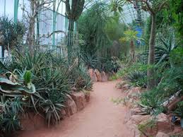 Ce lieux situé à lyon est dans la catégorie nature / balade. Jardin Botanique De Lyon Comite Des Parcs Et Jardins De France