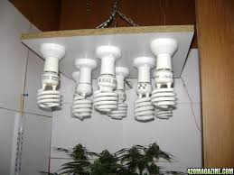 Buy a hydroponic cabinet today! Mini Gas Dirt Bikes For Sale Cheap Cheap Cfl Grow Light Setup