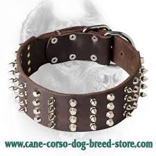 Browse our range of women's leather jackets today and find the perfect one for you. 2 Inch Leather Cane Corso Collar With Studs And Spikes Cane Corso Dog Harness Cane Corso Dog Muzzle Cane Corso Dog Collar Dog Leash 2021 Buy Now