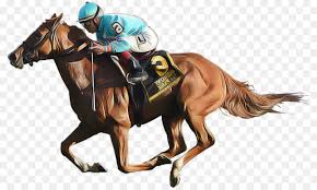 Welcome to the thoroughbred incentive program. Horse Animal Sports Rein Horse Racing Jockey