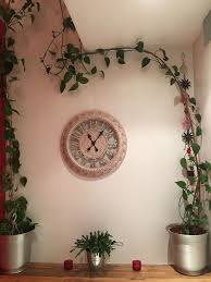 Des Plantes Grimpantes Pour Decorer La Cage D Escalier De Ma Maison Plante Grimpante Interieur Idee Deco Tendance Plante Grimpante