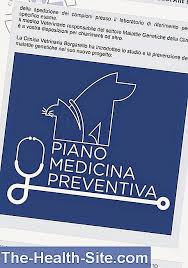 Trauma este definita ca o leziune a tesutului viu, cauzata de un agent extrinsec. Ce Este Polineuropatia Simptomele Cauzele È™i Terapia È™tiinÈ›ifico Practic Medical Journal 2021
