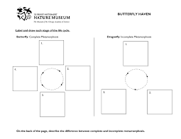 6 Compound Measures Worksheet In 2020 Time Worksheets Learning Worksheets Science Worksheets