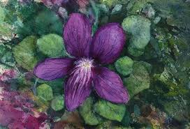 New Jersey Violet Watercolor Original State Flower Purple Etsy Original Watercolors Watercolor Simple Acrylic Paintings
