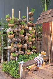 ไอเด ยทำ สวนผ ก ท ใครก ทำได บ านและสวน vegetable garden design backyard vegetable gardens backyard plants