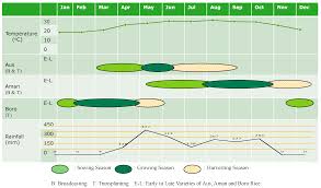 Analysis of pest management methods used for rice stem borer (scirpophaga incertulas) in sri lanka, based on. Sustainability Free Full Text Land Suitability And Insurance Premiums A Gis Based Multicriteria Analysis Approach For Sustainable Rice Production
