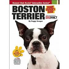 We bought our first boston terrier dexter in 2013'. Boston Terrier Puppies San Antonio Pets Lovers