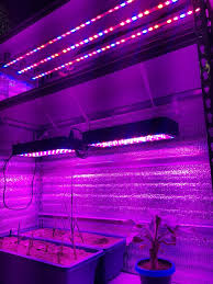 Maybe you would like to learn more about one of these? Full Spectrum Led Grow Lights For Indoor Growing China Manufacturer