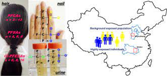 Using Hair Nail And Urine Samples For Human Exposure Assessment Of Legacy And Emerging Per And Polyfluoroalkyl Substances Sciencedirect
