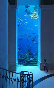 We did not find results for: Underwater Hotel In Dubai Places To Travel Underwater Hotel Places To See