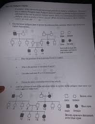 Solved Part 10 Pedigree Charts In Genetics Traits Can