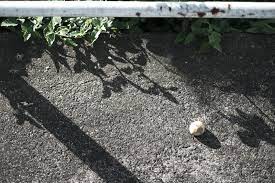 作例あり x t4 エテルナブリーチバイパス で撮った故郷は心地よい哀愁 fujifilm とみとむ ブリーチ 哀愁 背伸び