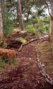 Pump House Path Garden Paths Rustic Gardens Woodland Garden