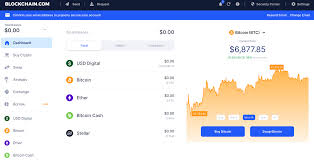 Number of blockchain wallet users worldwide from november 2011 to march 28, 2021 in millions. chart. Blockchain Com Wallet Review 2021 Is It Safe To Use Cryptogeek