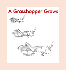 Aesop's fables is a collection of tales by the greek storyteller aesop. Aesop S Fables Theme Unit Printables And Worksheets