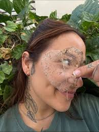 Experimentando con piñas: El ciclo de crecimiento en macetas