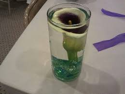 Calla Lillies Calla Lillies Glassware Beer Glasses