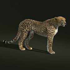 3d Model Cheetah Fur Cheetah 3d Model Fur