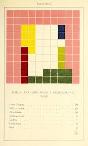 Colour Analysis Charts By Emily Noyes Vanderpoel 1902