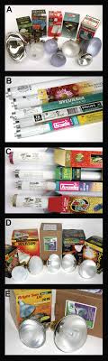 Reptile Lighting Information Reptiles Magazine