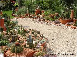 Cactus Garden Desert Paths N B An Interesting Concept For The Small Bed With The Now Totally Extinct Peruvian Cac Succulents Garden Dry Garden Xeriscape