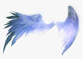 Do not use for butterfly wings. Wings Of Freedom Angel Birds Blue Aesthetics Transparent Anime Wings Png Png Download Transparent Png Image Pngitem