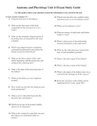 Anatomy And Physiology Unit 14 Exam Study Guide Anatomy And Physiology Physiology Exam Study