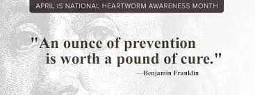 Oftentimes, we can provide that care, especially for cats and dogs, right here at the hospital. All Pets Veterinary Medical Center Home Facebook