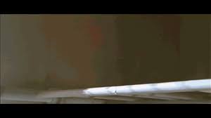 Judgment day 3.2 alternate future 4 notes 4.1 sarah's year of birth 4.2. Fitness Trio Sarah Connor Pull Ups Gif