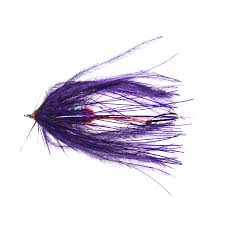 Check spelling or type a new query. Umpqua Jeff Hickman Fish Taco Purple