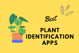 Plantsnap is the revolutionary plant identification app from earth.com built to help you identify plants in a snap. 6 Best Plant Identification Apps To Find About Unknown Plants