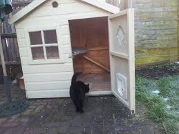 Inside Cat House Tasarim